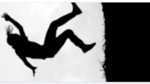 Screenshot_20231105-144557_1