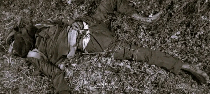 थलारामा ट्याक्टर दुर्घटना दुई जनाको ज्यान गयो, चालक गम्भीर घाइते।